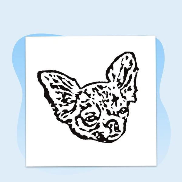 Our Artists Illustrate Your Pet