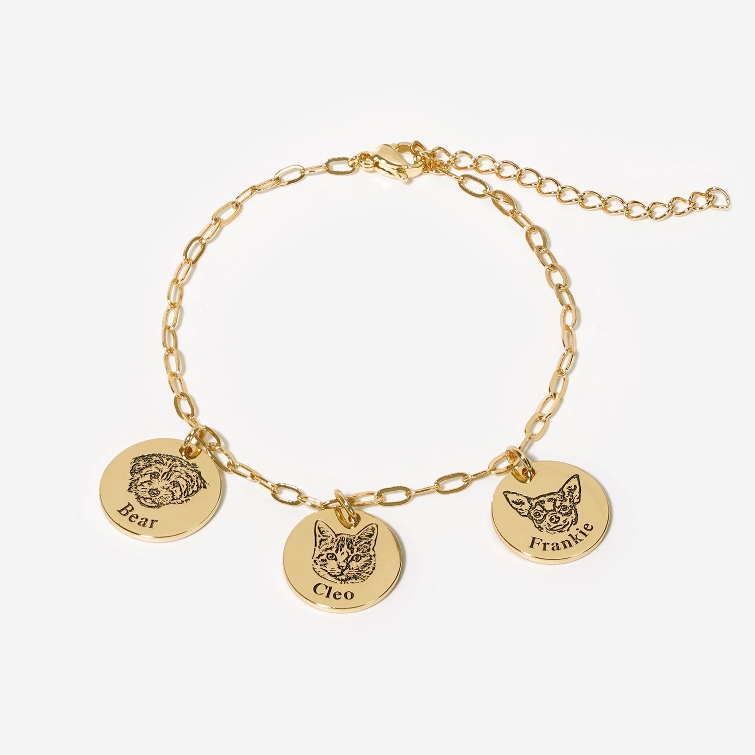 Paperclip Pet Face Bracelet