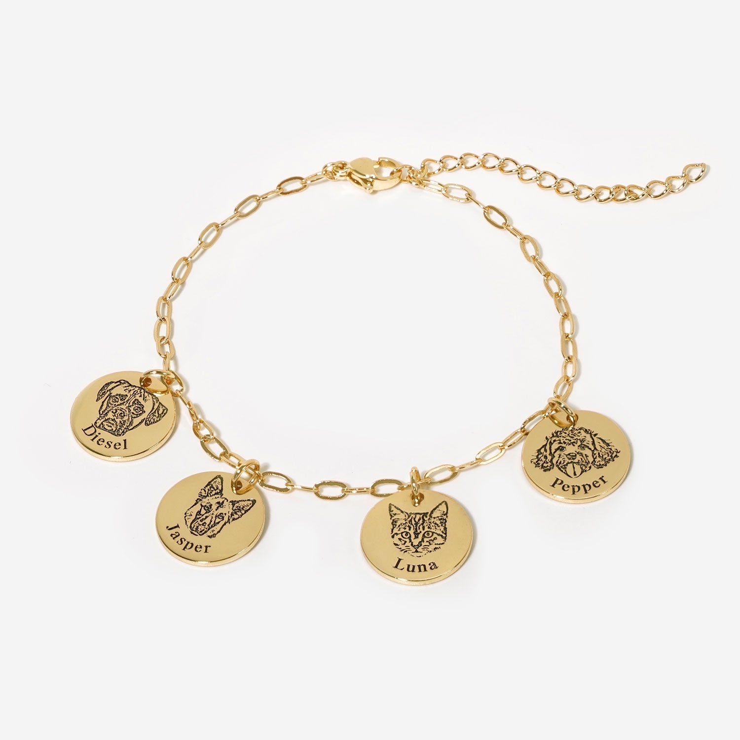 Paperclip Pet Face Bracelet