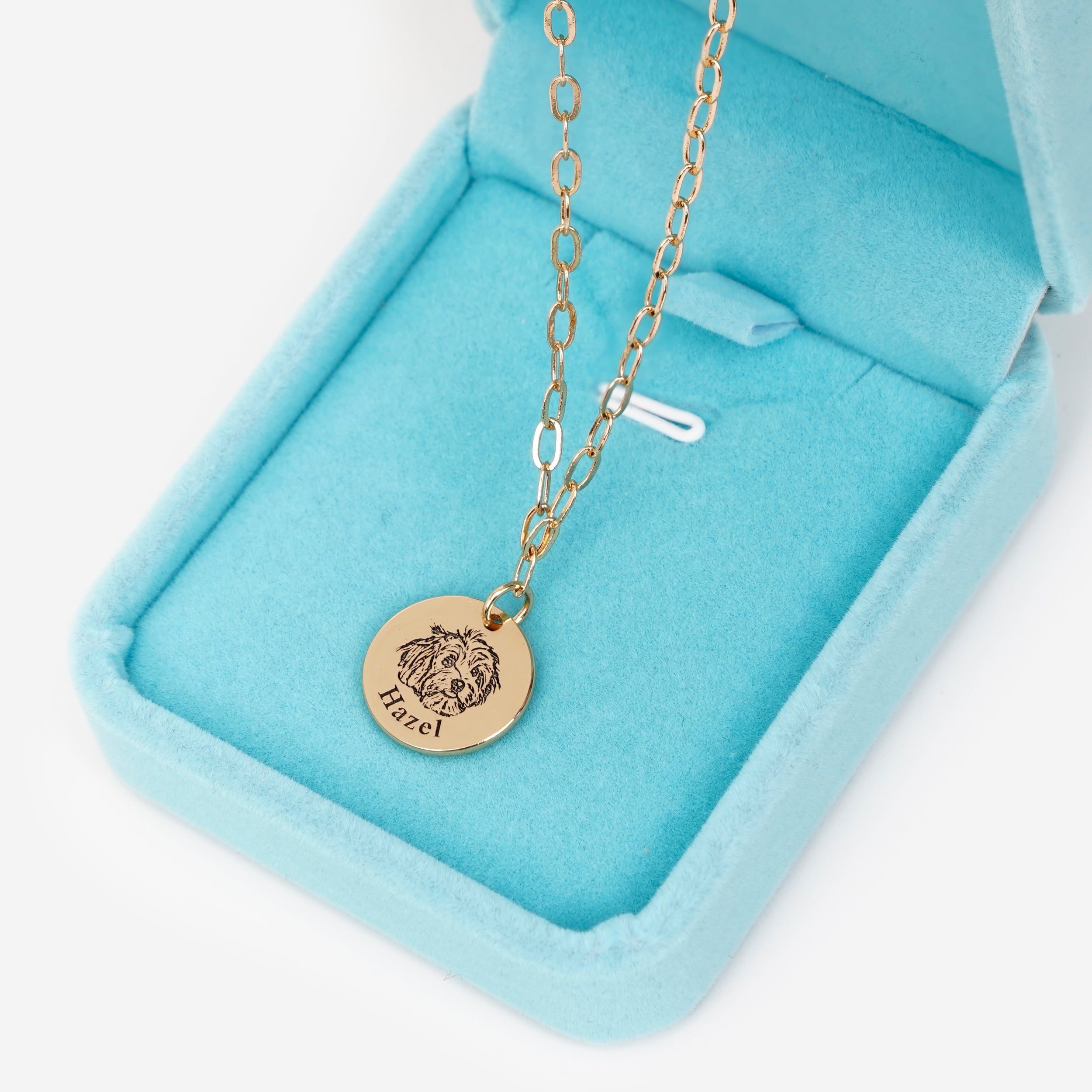 Paperclip Pet Face Necklace